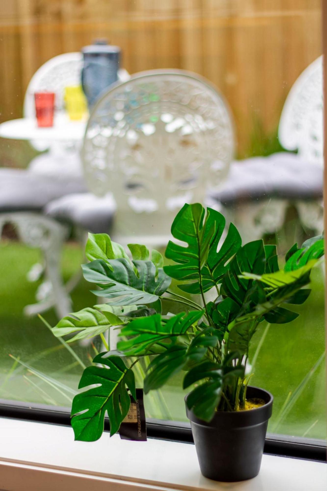 Gorgeous In Green - 2 Bed Central Oasis W/King Bed Christchurch Kültér fotó